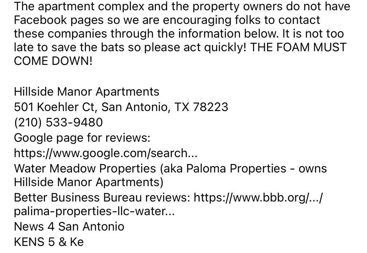 Hillside Manor Apartments in San Antonio has chosen to seal in several thousand bats using spray insulation. This is psychopath behavior, and will smell HORRID, so I hope the tenants are ready for that. Please RT and/or contact per info below! @News4SA @ExpressNews @satxnews
