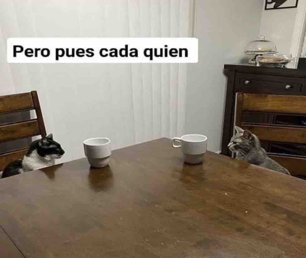 Guarromantico_'s tweet photo. Después de 2 horas de chismes. https://t.co/PR3qB9o9cp