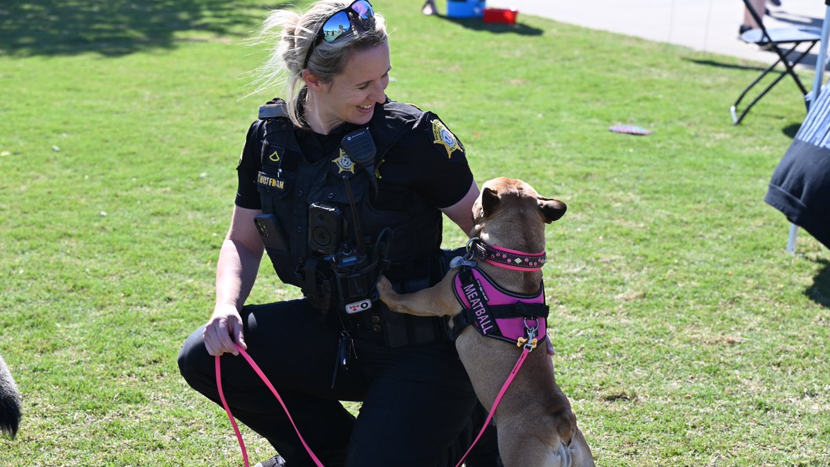 This weekend has been eventful for our K9s! Bark to the Park was a huge success! 🐾👟 #TeamRCSD