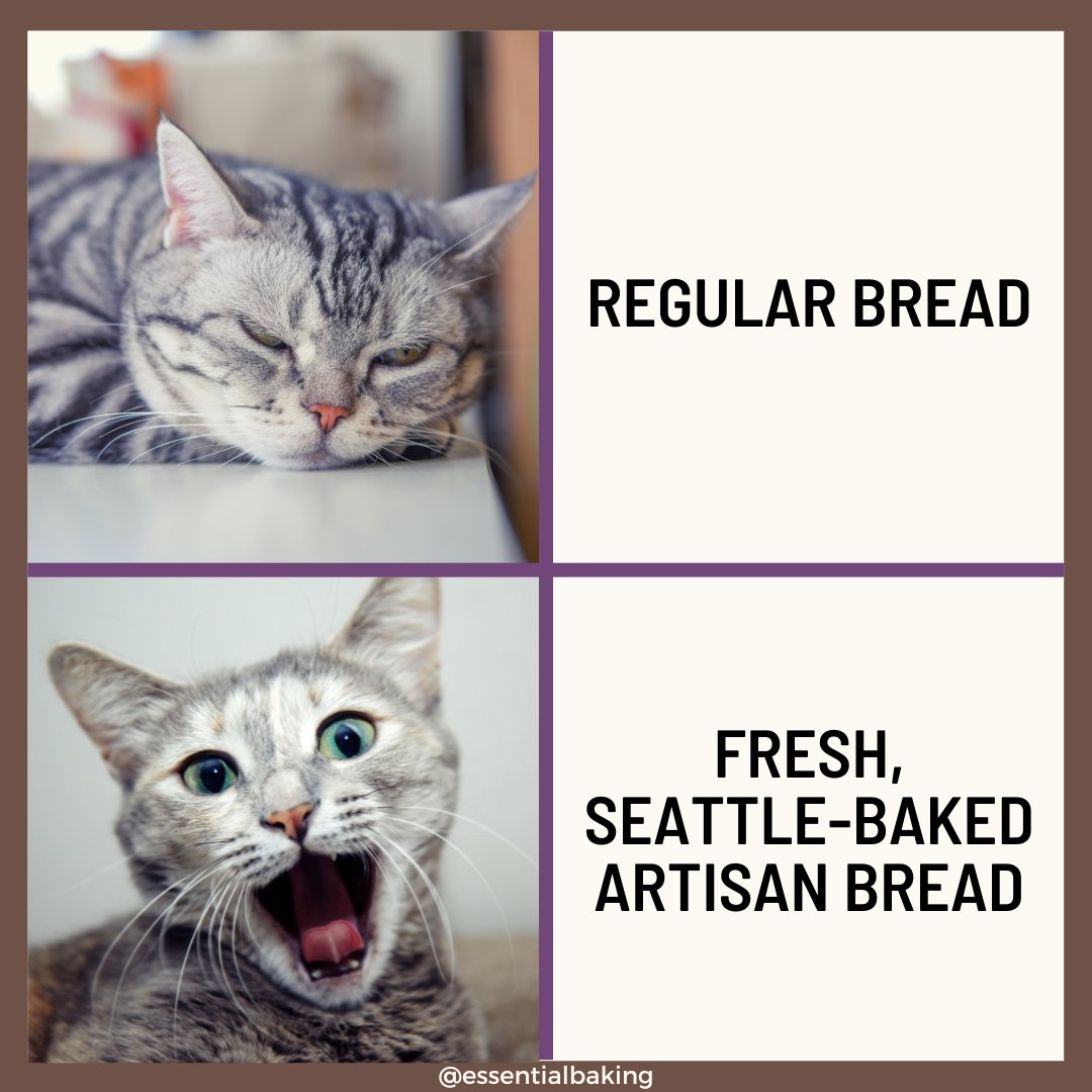 EssentialBaking's tweet photo. Why suffer through regular #bread... 😭

When you can have fresh, #Seattle-baked #artisanbread?? 😍🍞

Look for it in #Washington state at @QFCGrocery, @PCC, Town &amp; Country Markets, and @MetMarket!

#pnwfoodie #artisan #breadislife #breadlovers #freshbread #essential https://t.co/CvIGriPoiC
