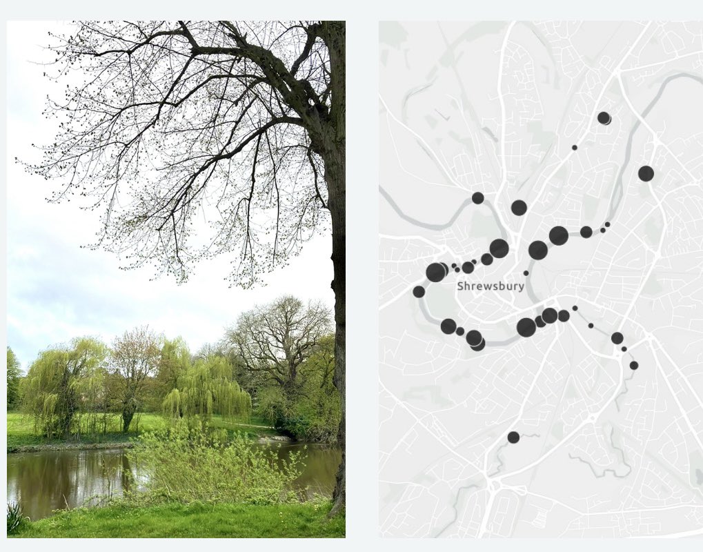 DrIvanaN's tweet photo. Left: Photo taken today during a spring walk along river #Severn running through beautiful Quarry Park in #Shrewsbury
Right:#Sewage overflow spots on #riverSevern,running all the way through beautiful #QuarryPark and beyond. Map source: #EnvironmentalAgency #sewagemap #sewagegate https://t.co/4sDx3uWWo8