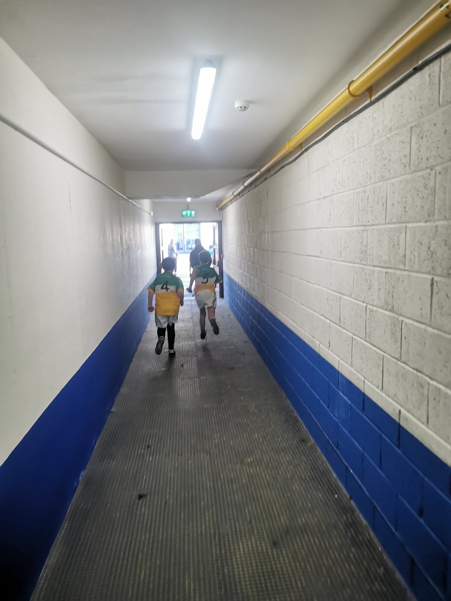 Offaly Cumann Na mBunscol tweet media