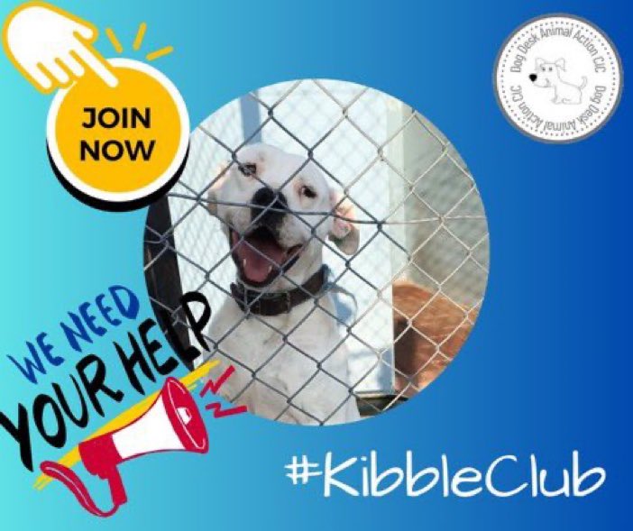 I’m a proud member of the @DogDeskAction #kibbleclub 

Please will you join me and become a member with a £2 per month contribution to help keep the #dogs at the shelter fed. 

Great things can be achieved when we all club together 🙏
⬇️⬇️

donorbox.org/kibble-club
#FeedThemAll