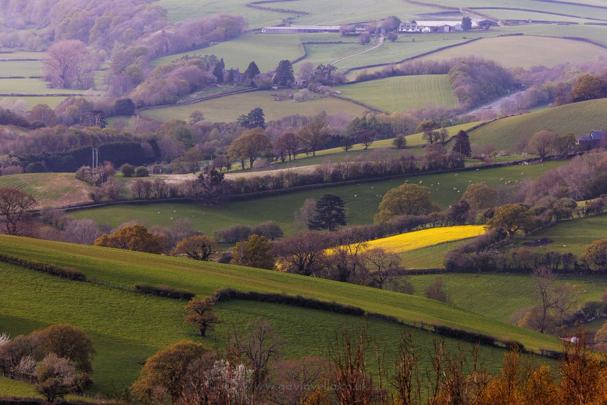 Zooming into just a portion of the overall scene, as this section of the view just stood out to me. Textbook scene of what the typical British countryside looks like. Just farms and rolling green hills. #Wales #southwales #nature #naturephotography #canon