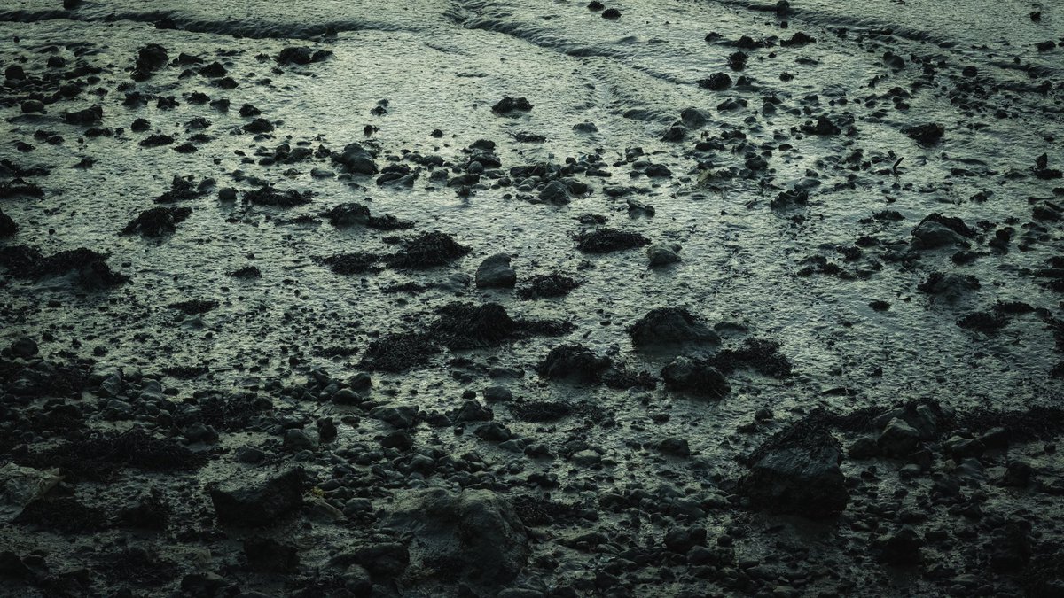 1 journée
2 villes (Etretat / Le Havre)
4 photos