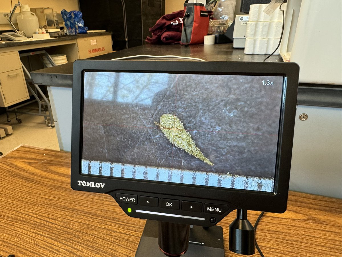 🪩 Saturdays are for trichome density counting. A special thanks to @FlwrEcoEvo for borrowing us the 🔬.

#graduatestudentlife #gradstudentlife #gradschool #graduateschool #cannabis #cea #controlledenvironmentagriculture #horticulture #agronomia #plantsciences #trichomedensity