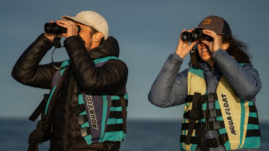 RewildingArg's tweet photo. CIERRE DE TEMPORADA DE TURISMO DE NATURALEZA EN #PATAGONIAAZUL · Más de 3000 aventureros de Argentina y otros países visitaron los portales de acceso público Isla Leones y Bahía Bustamante buscando experimentar la belleza de la biodiversidad marina en la costa de Chubut. https://t.co/h6hSKGKbb4