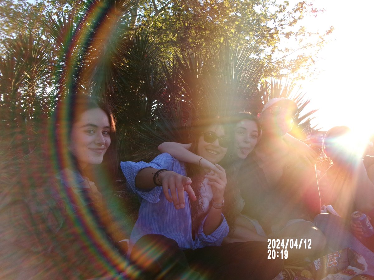 🌙 nat tweet media