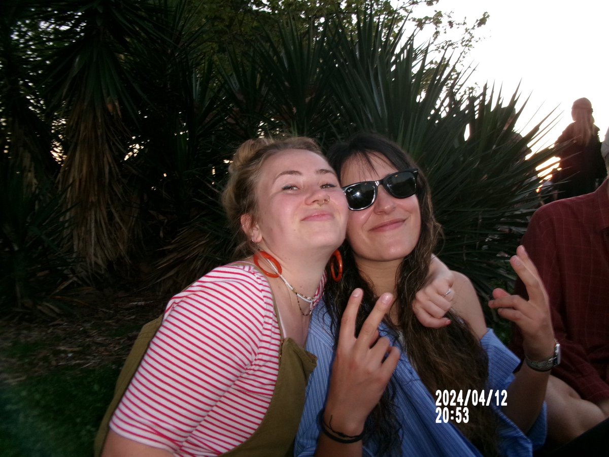 🌙 nat tweet media