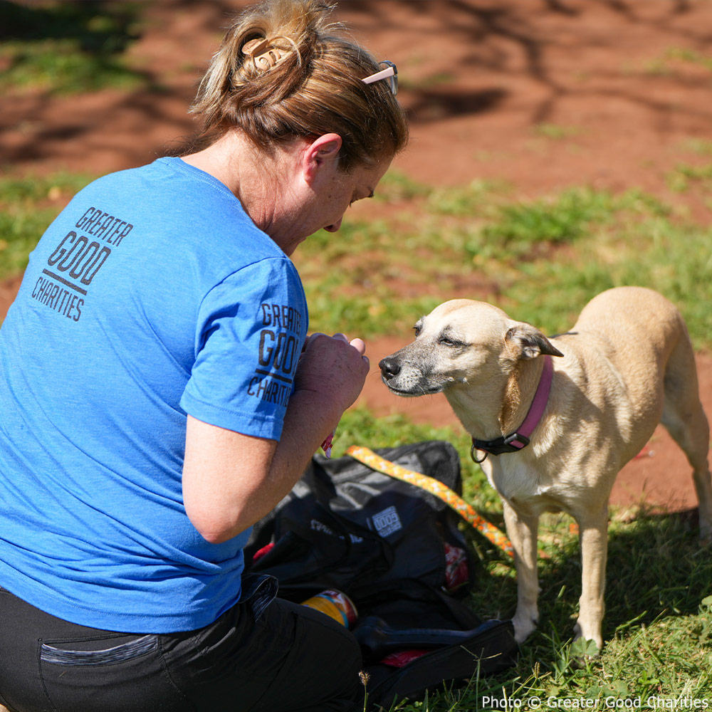 GreaterGoodorg's tweet photo. Recently, @TitosVodka joined us, deploying a team to help build #GoodPacks full of items like socks, sunscreen, toiletries & more & pet subpacks with pet food, treats & supplies. We distributed the packs to encampments across the island & at @mauihumane. 🎒🐾 (2/3) https://t.co/Y3BpOq41iE