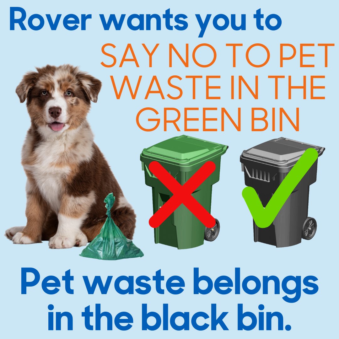 🌱Tip of the day! Pet waste, including kitty litter, is prohibited in the green organics cart! Pet waste may contain harmful pathogens and parasites that can compromise the quality of the compost or pose health risks to workers. Please place pet waste in the black landfill bin.