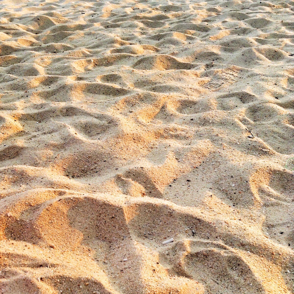 — Tropical 🏝️