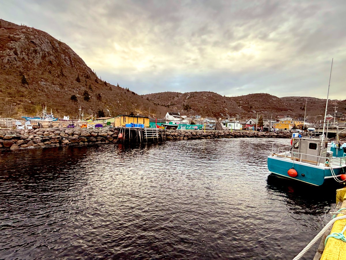 Couple snaps from Petty Harbour! ❤️