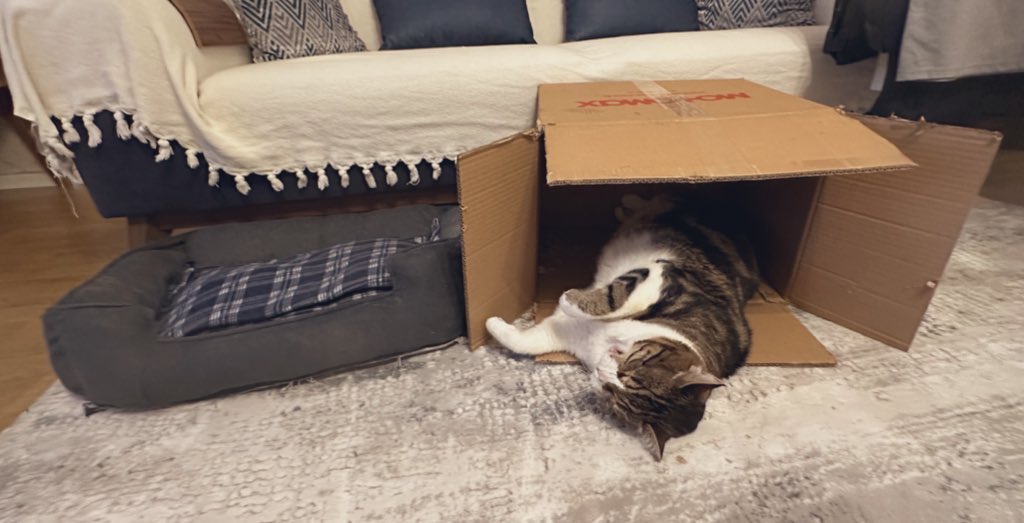 Sokağı çocuğumun ruhundan sökemiyorum.