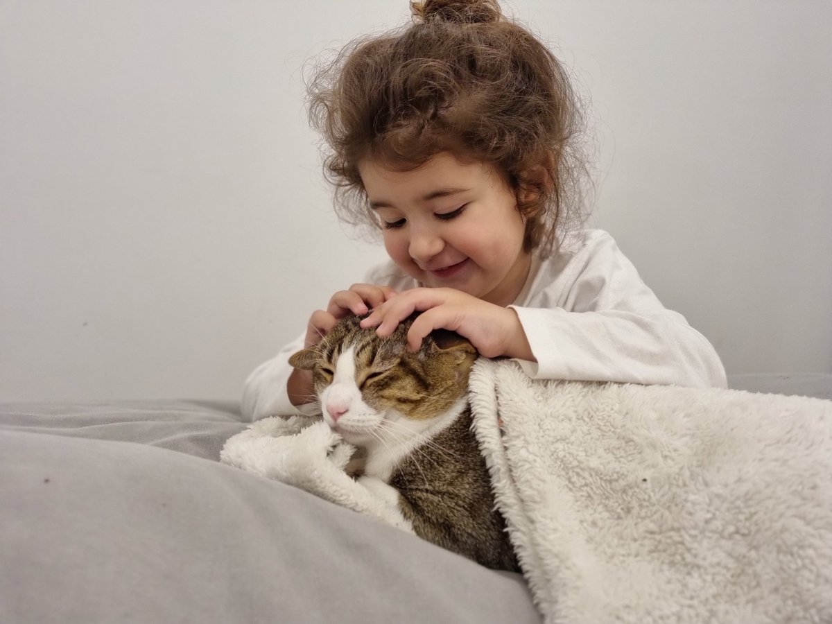 FlorGallac's tweet photo. Somos una familia de 4 xq este gatito nos robó el corazón 🥰 Simón ❤️ https://t.co/NwAwfdp2r9