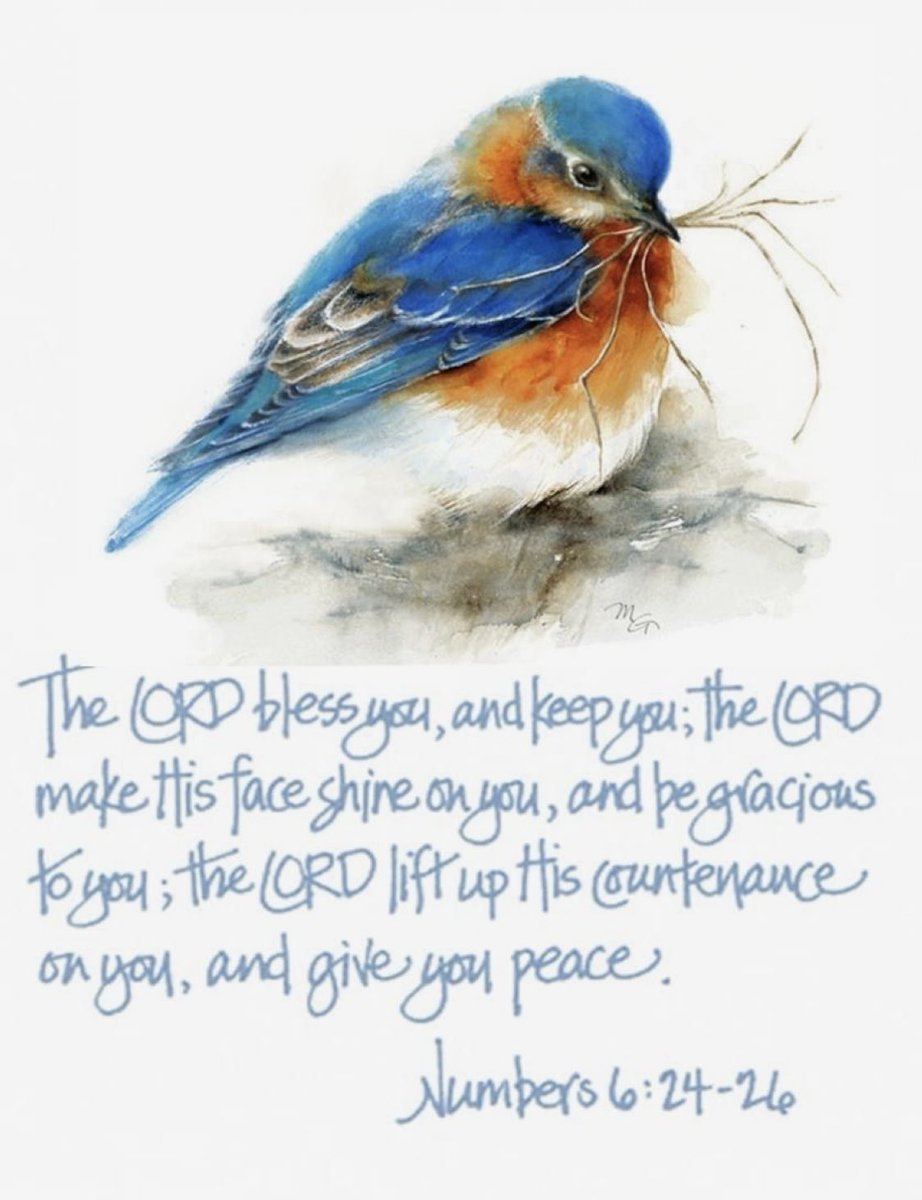 PILLOW🌟#PROMISE💫 He will give you #Peace