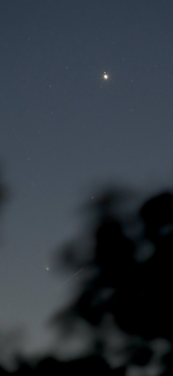 #Jupiter and moons, with fuzzy #PonsBrooks in the trees along with a satellite light trail.
#arwx