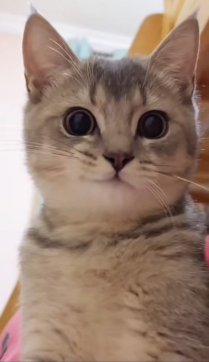 LonerMike_'s tweet photo. Mood when I see #HerButt https://t.co/2YUA2Wq843