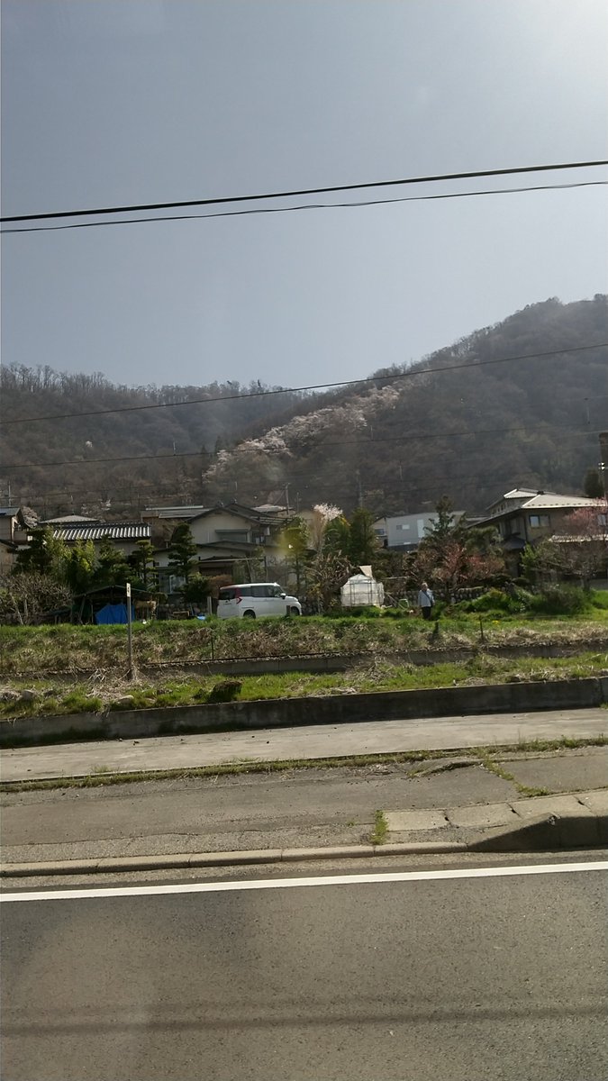 mihyat's tweet photo. ちょっと遅くなりましたが本日9:00頃の光城山。
桜の上昇4割くらいか。 https://t.co/xb6pEFFGvy