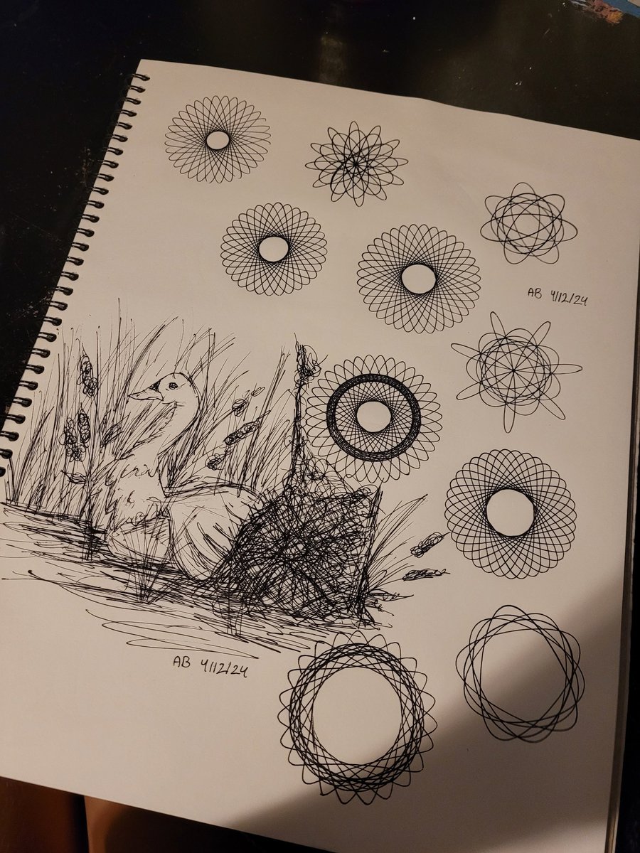 Just this one page got so chaotic 🖤🖤🖤 #chaoticart #spirograph #spirographart #sketching #myowndesign
