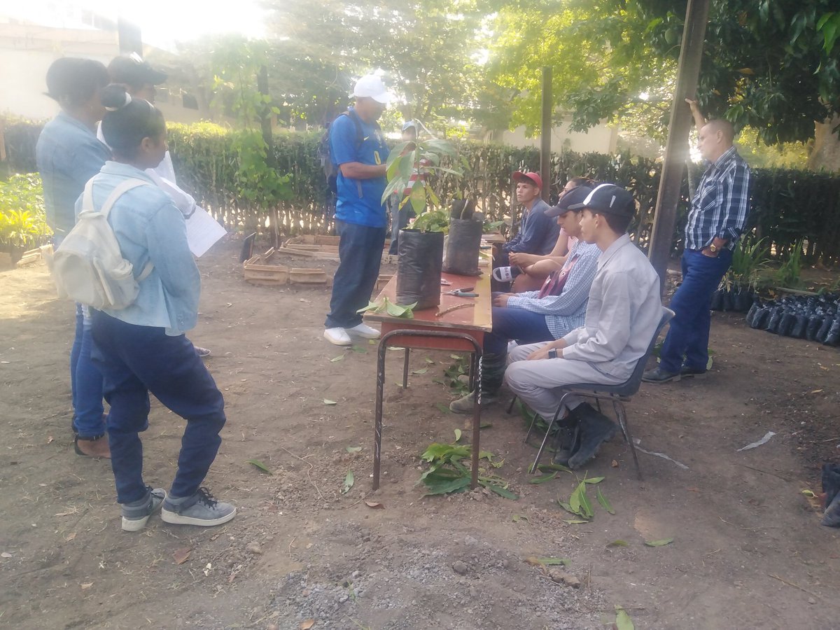 cortesida28's tweet photo. IPA Manifiesto de Montecristi, arrasó con el podio en la Vlll Feria Provincial Docente Agroindustrial y Competencias de Habilidades. Alzándose con el primer puesto en #Agronomía, #Veterinaria, #Mecanización, #Construción, #Contabilidad y #Elaboración de Alimentos @draysdecuba1 https://t.co/uu3IPWF6l4