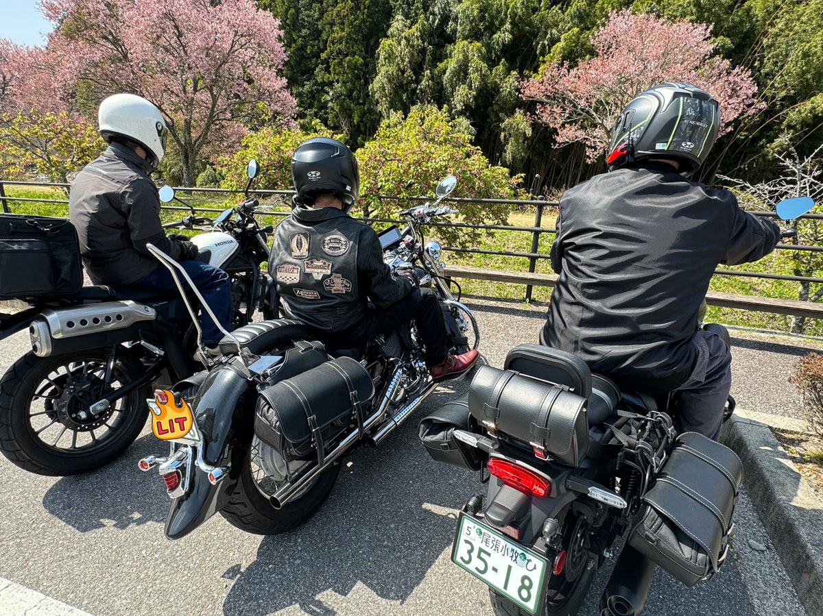 バイク最高だー👍😆😆

#エリミネータSE
#桜