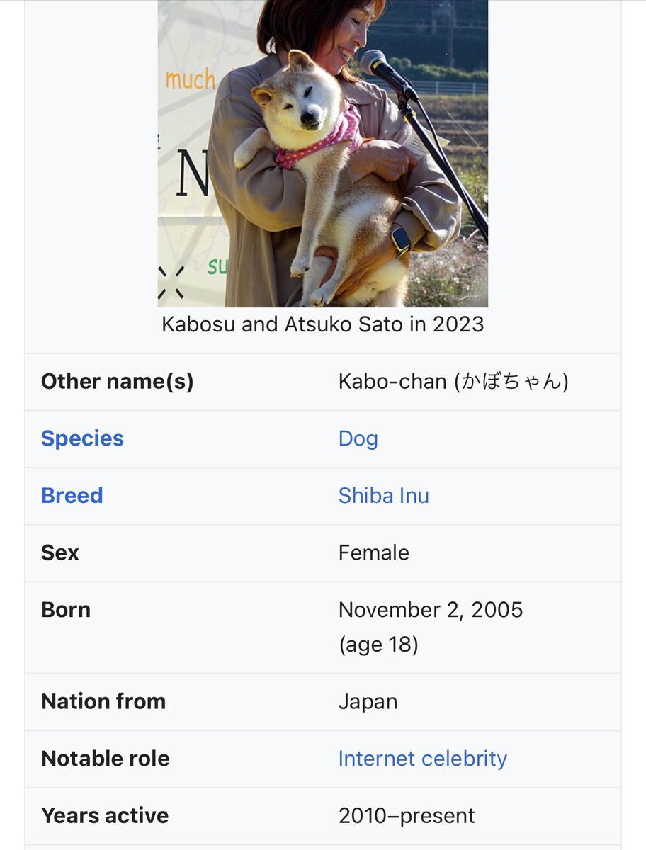 Shiba Girlfriend ($SHIBGF) 💞 tweet media