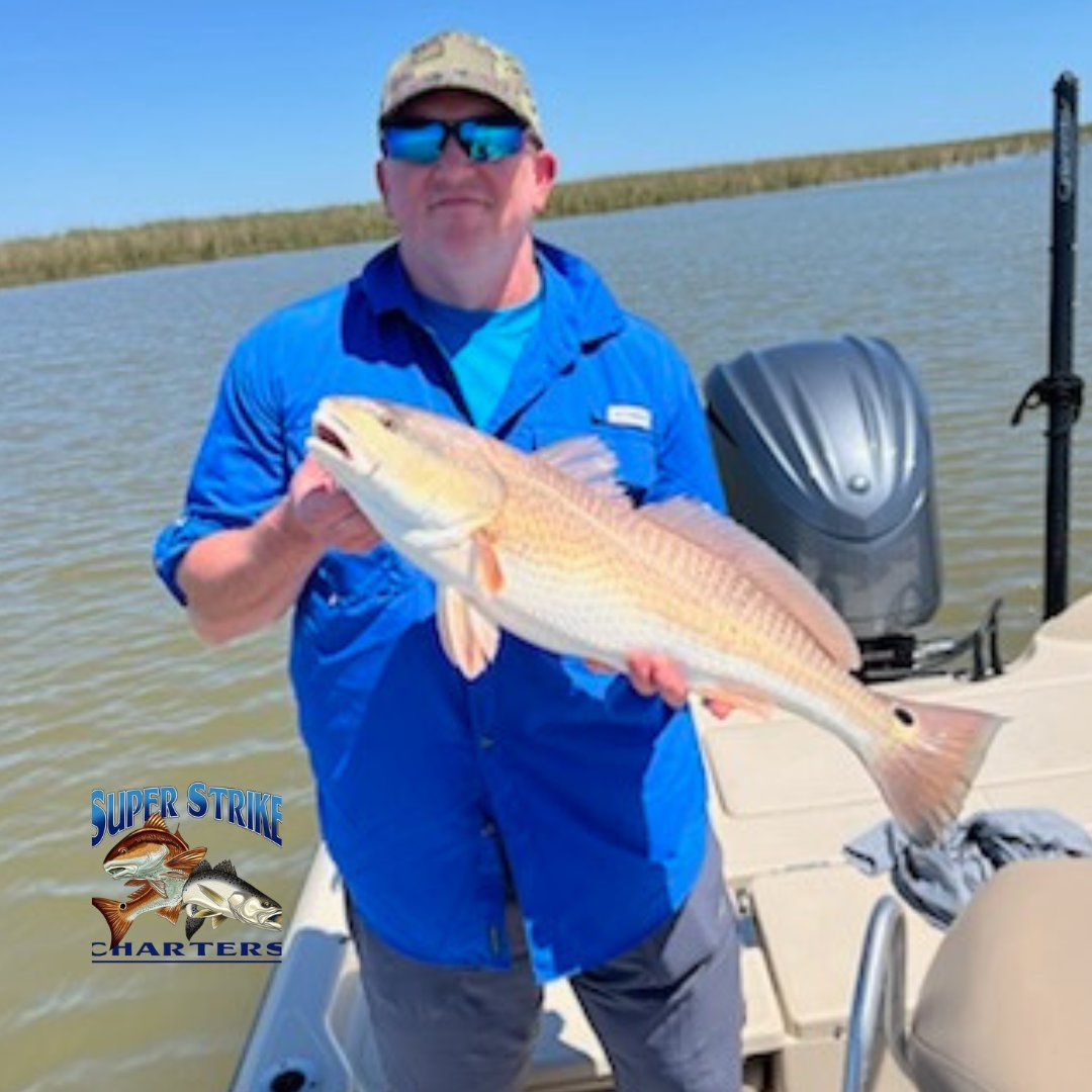 The Sutherlin crew from Arkansas with Captain Chase had an epic day on the water catching redfish! 🎣 These redfish put up quite the fight, but it was worth it for that picture-perfect moment of victory.

 #InshoreFishing
#Redfish
#CatchOfTheDay
#superstrikefishingcharter