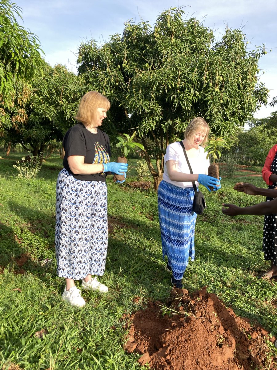 diane mcclelland tweet media