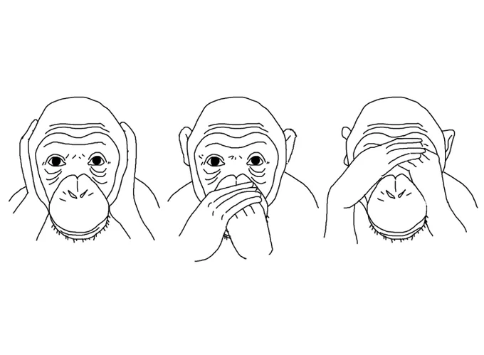 3 wise wonkeys 