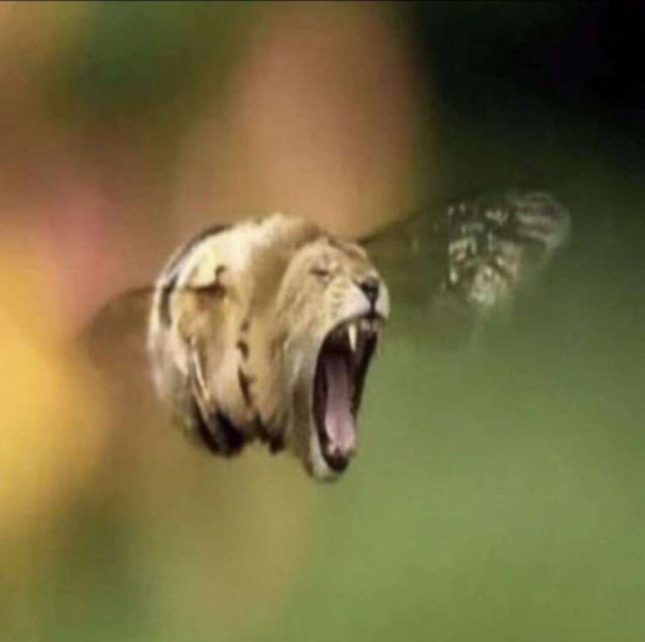 i might flip this into roz