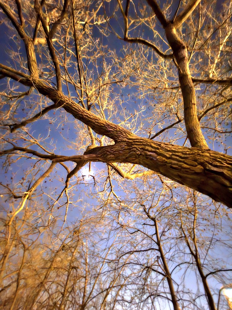mvinge's tweet image. Perfect night. No bugs, light breeze, good sunset. Towboats working the river in front of the historic St. Paul Municipal Grain Elevator.