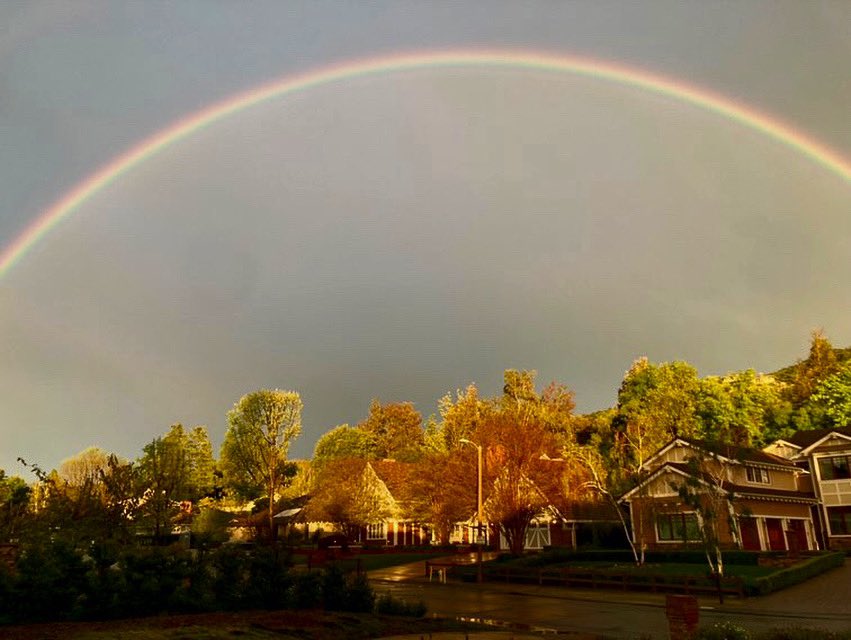 Outside my house a few minutes ago. My son Graham took this shot. The colors were more vibrant than this really.