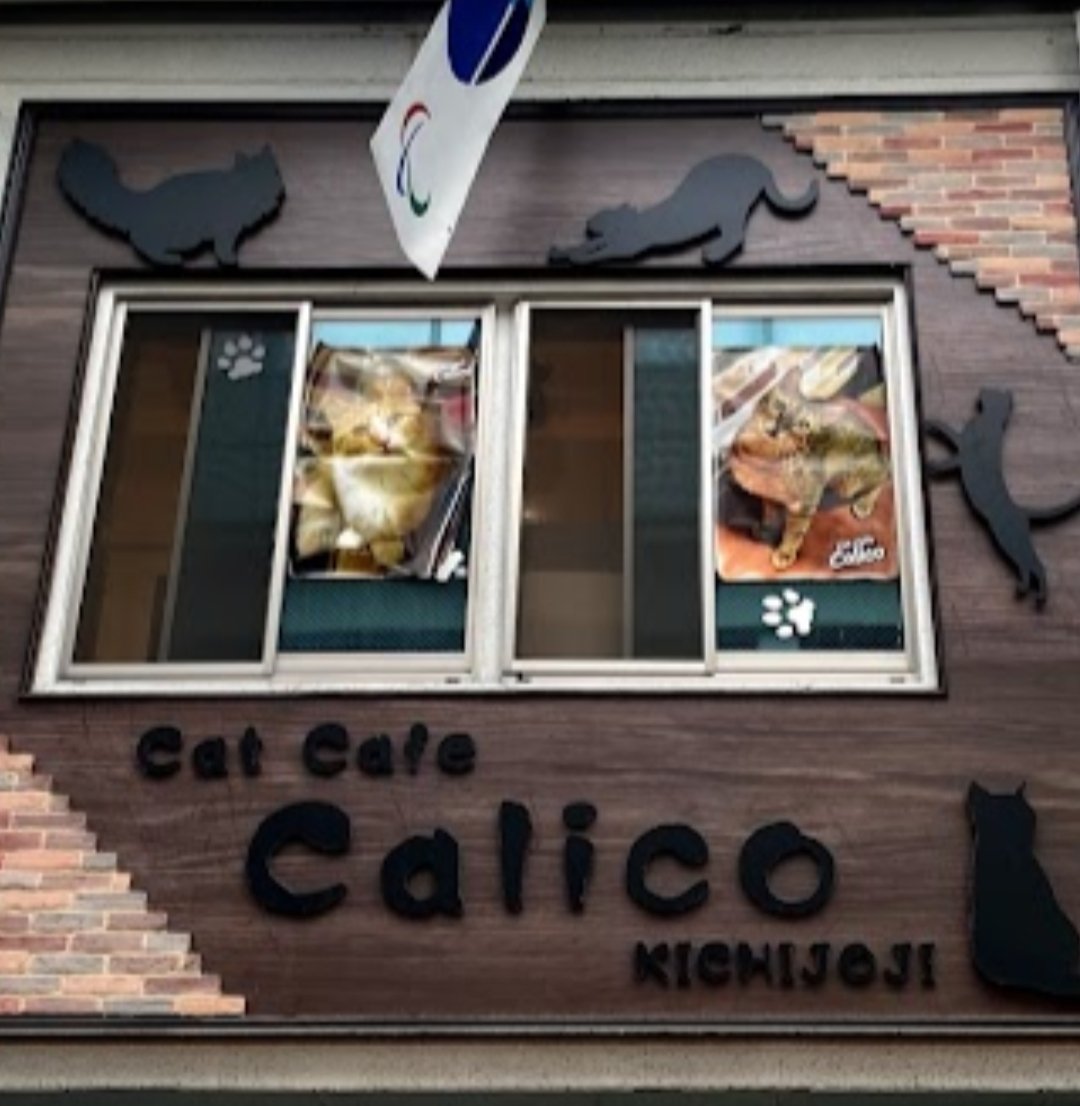 ozimuin's tweet image. 吉祥寺散策してて偶然目に止まった店☺️
ワンマンライブに行けて良かったし7年振りに友達とも会えてバタバタだったけど楽しかった🤗

#MAYAのうた
#callico
#Lightme