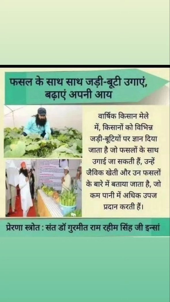 #AgricultureTips
#AgricultureTipsBySaintMSG
#OrganicFarming #ScientificFarming  
#FarmingTips #Farming  #DeraSachaSauda 
#SaintDrGurmeetRamRahimSinghJi 
#SaintDrMSG  #GurmeetRamRahim
#RamRahim #SaintMSG #SaintDrMSGInsan #BabaRamRahim #GurmeetRamRahim