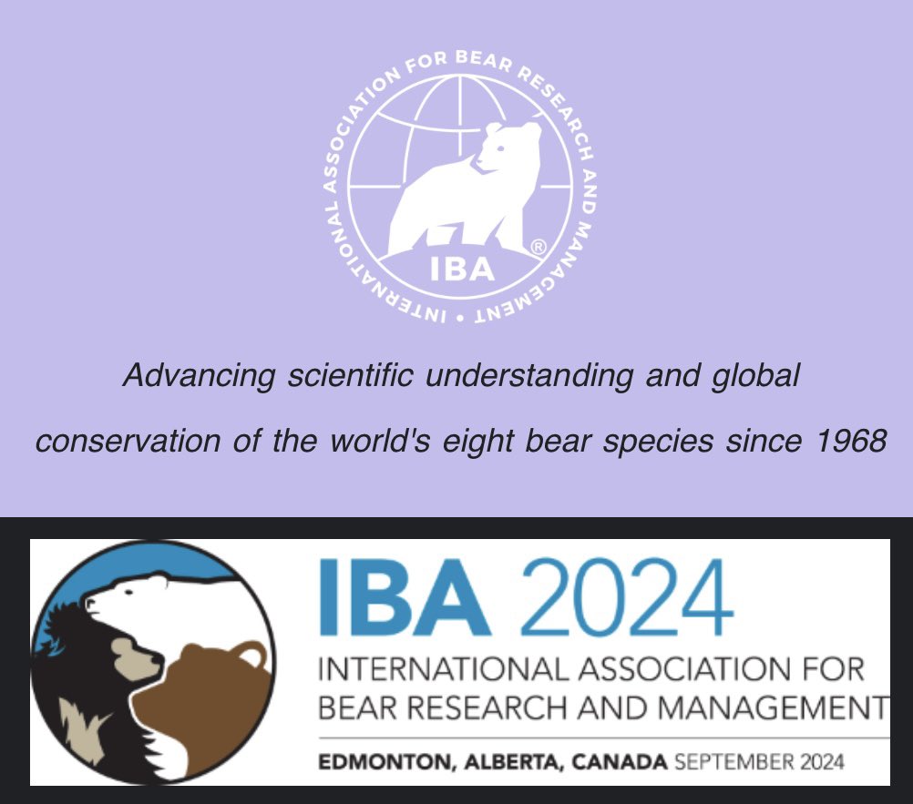 Eyyyyyy
Just learned I’ve been accepted to present at the big IBA conference.
Stoked to meet all the #bear nerds!