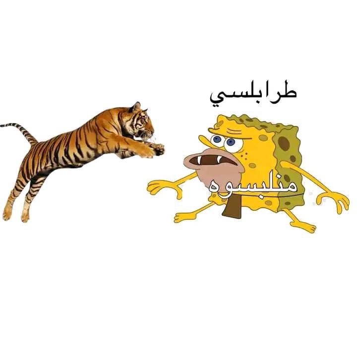 #عاجل  هروب نمر من مدينة مسلاته و متجه  إلى المدن المجاورة 

المدن المجاورة :