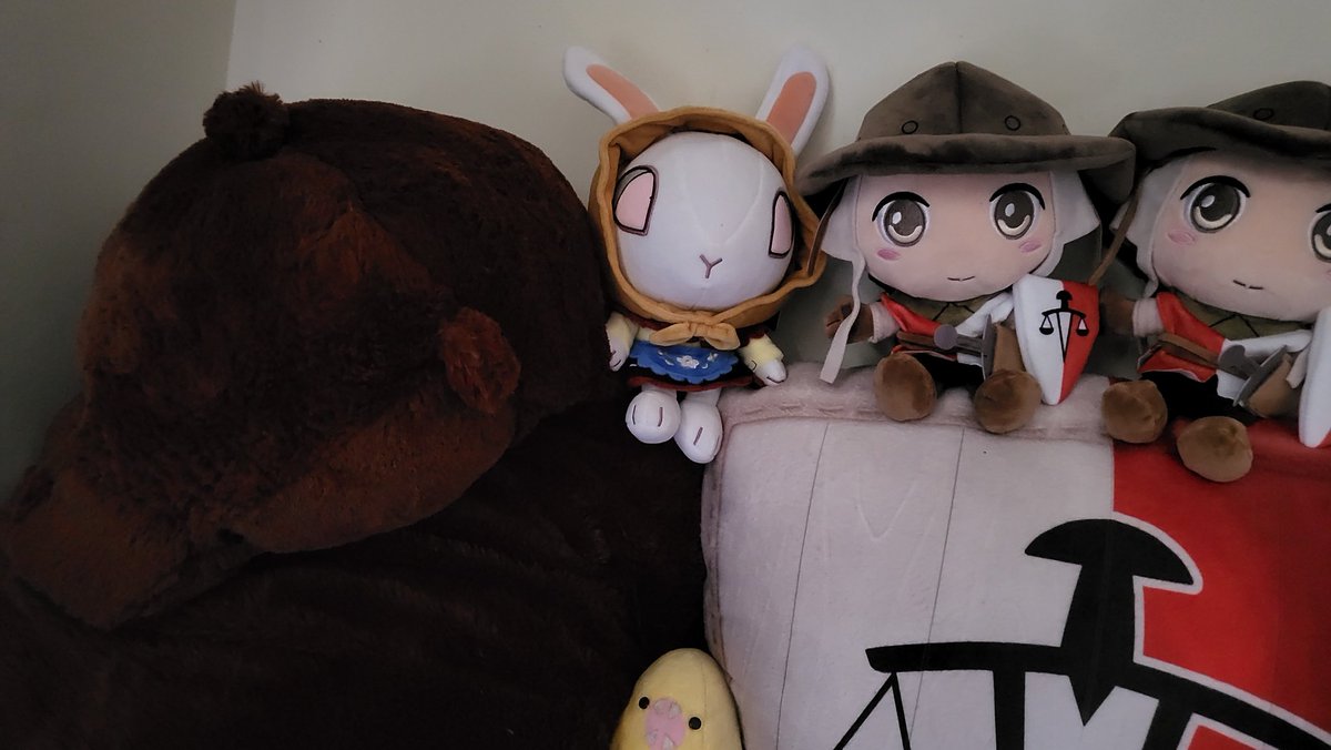 A bunny has joined the plushie army🐰