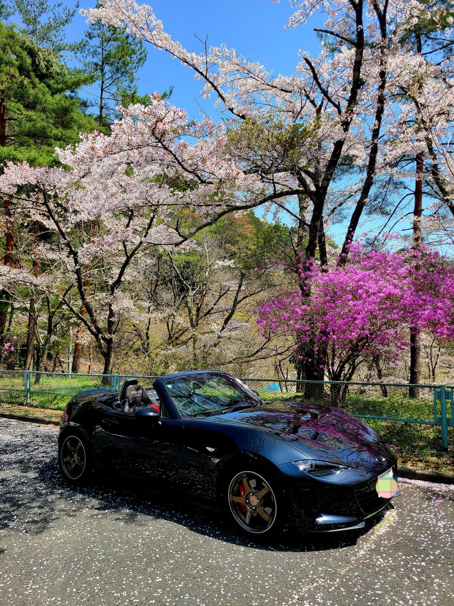 tabo0616's tweet photo. 久しぶりの奥多摩です
桜もそろそろ終わりのようですね
#ロードスター　
#NDロードスター https://t.co/CuC76Jkwf4