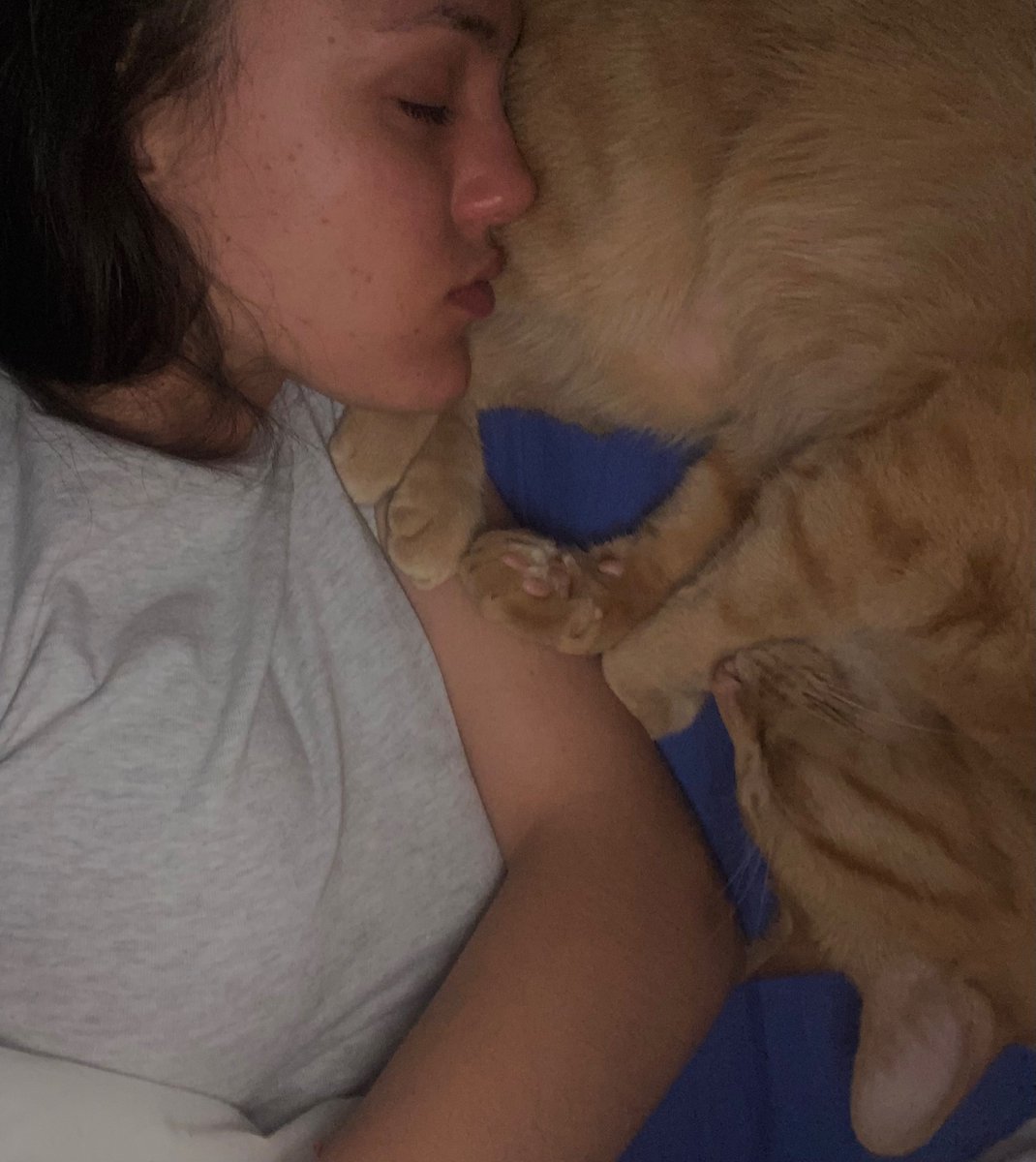 a 💤💤