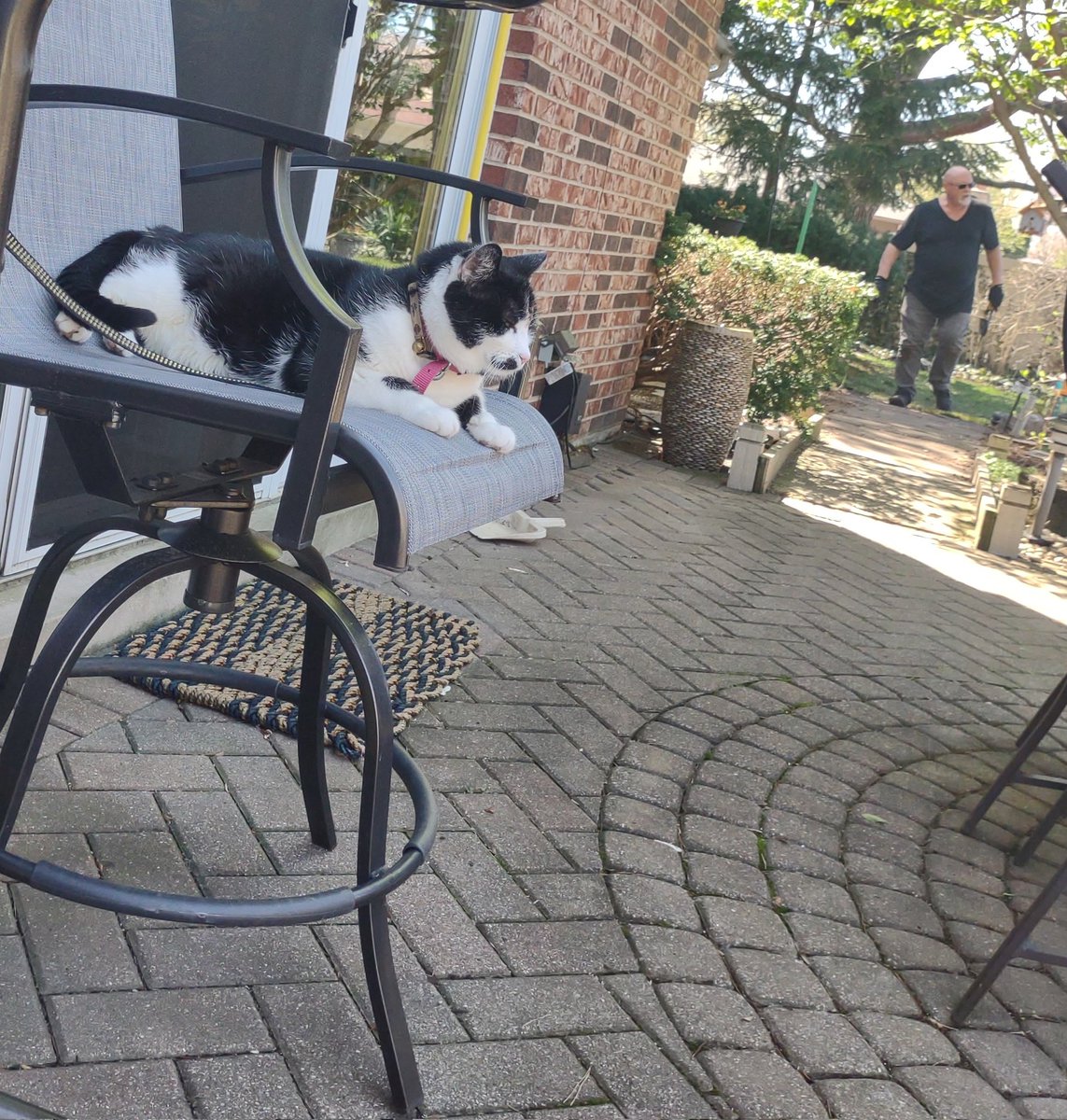 SueJ1331's tweet photo. @joebonsall Greetings from Winston..... yardwork supervisor! https://t.co/J7KpwXhmUj