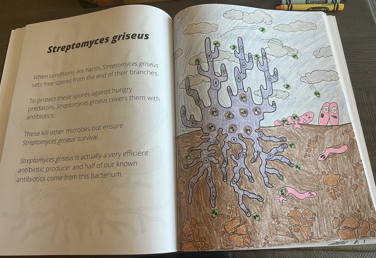 S is for Streptomyces griseus! 🧫