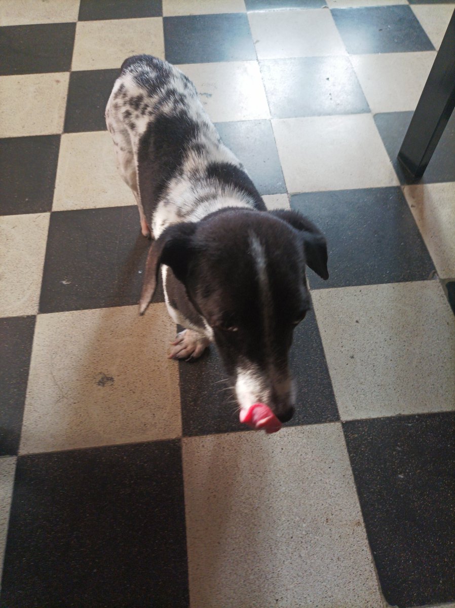 Pavel Milanes CO7WT tweet media