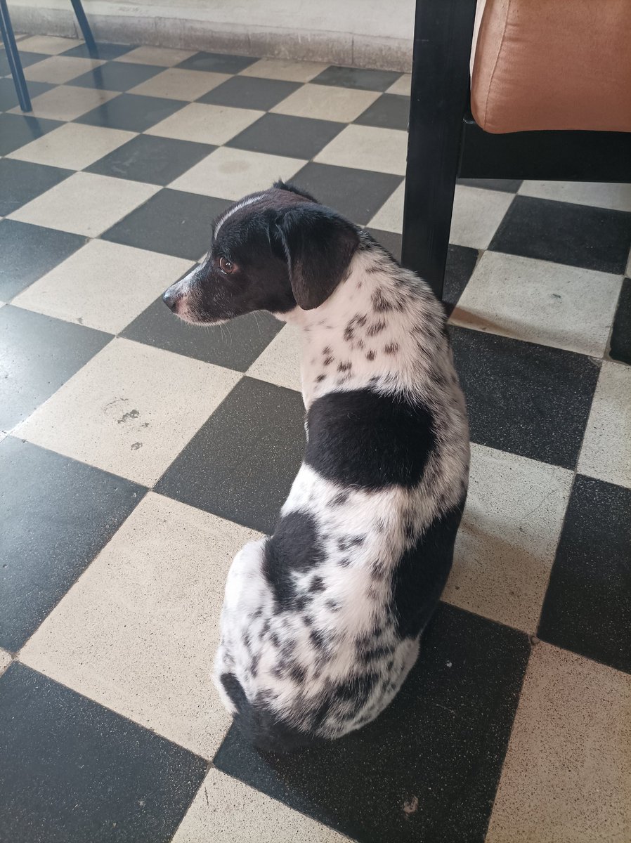 Pavel Milanes CO7WT tweet media