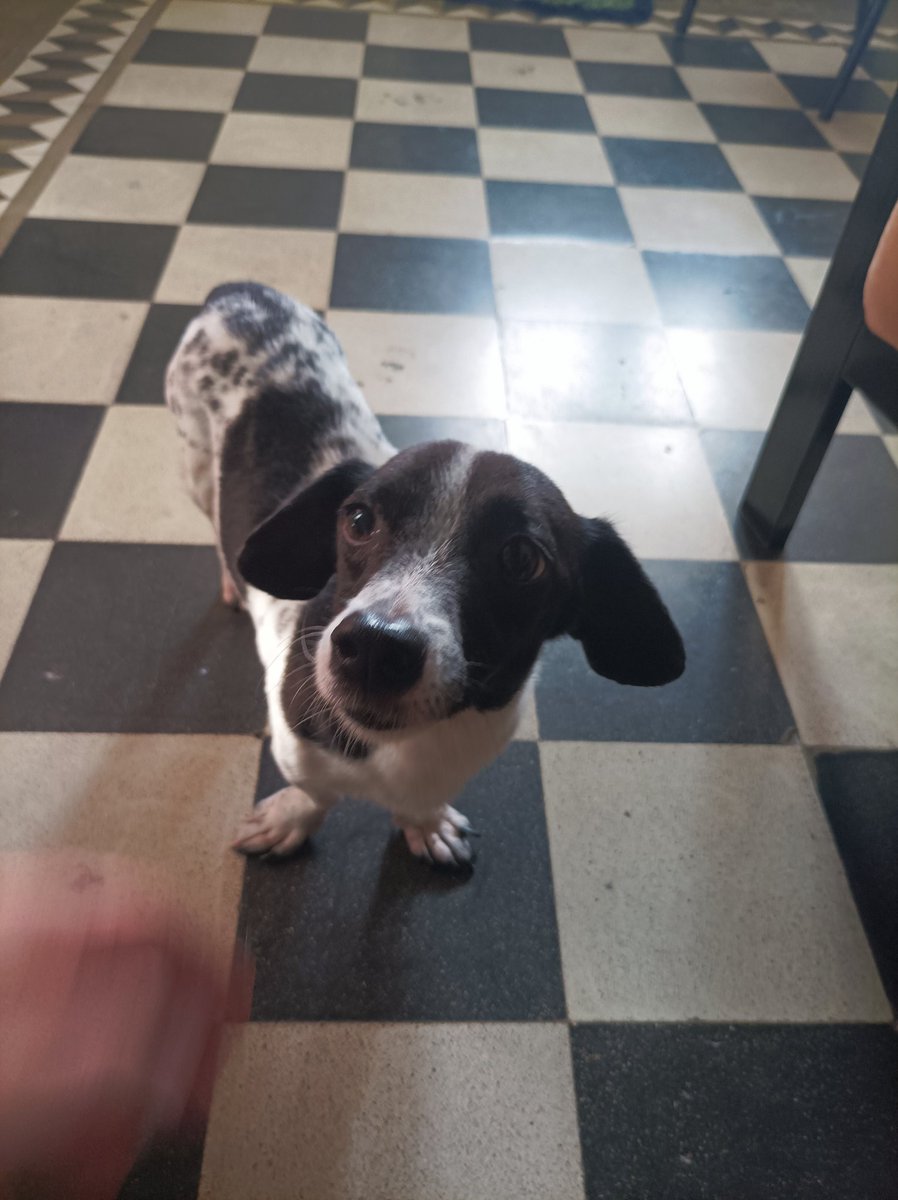 Pavel Milanes CO7WT tweet media