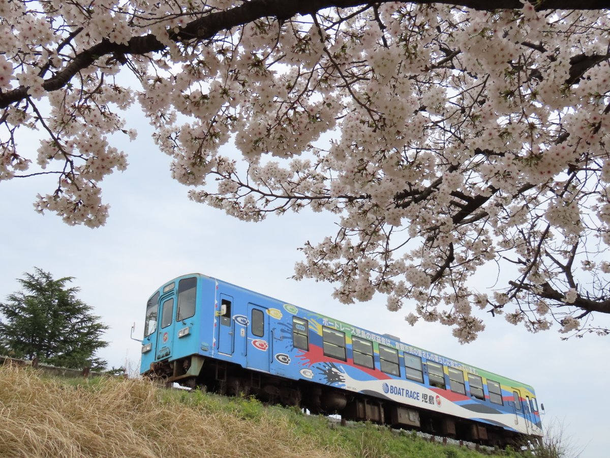 おはようございます！ 本日は春らしい桜の写真からスタートです😊　 素敵な日曜日をお過ごし下さい💪