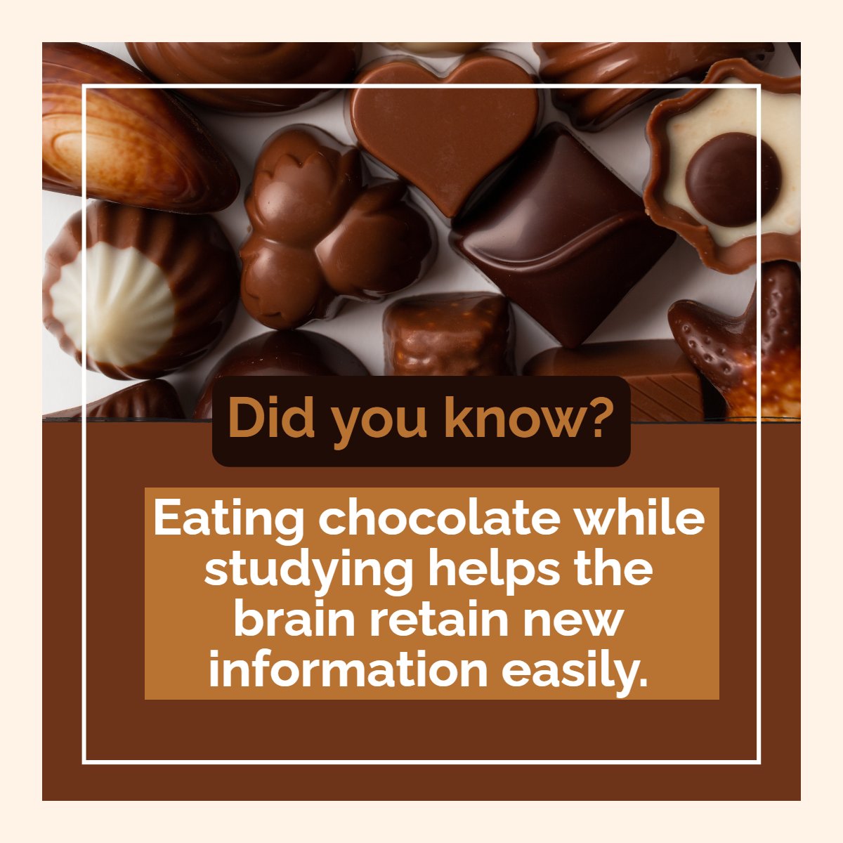 Chocolate can increase brain waves, leading to a state of relaxation.

Do you enjoy eating chocolate?

Let us know below!

#ChocolateIsLife #ChocolateLover
 #Floridasunshine #Realestate