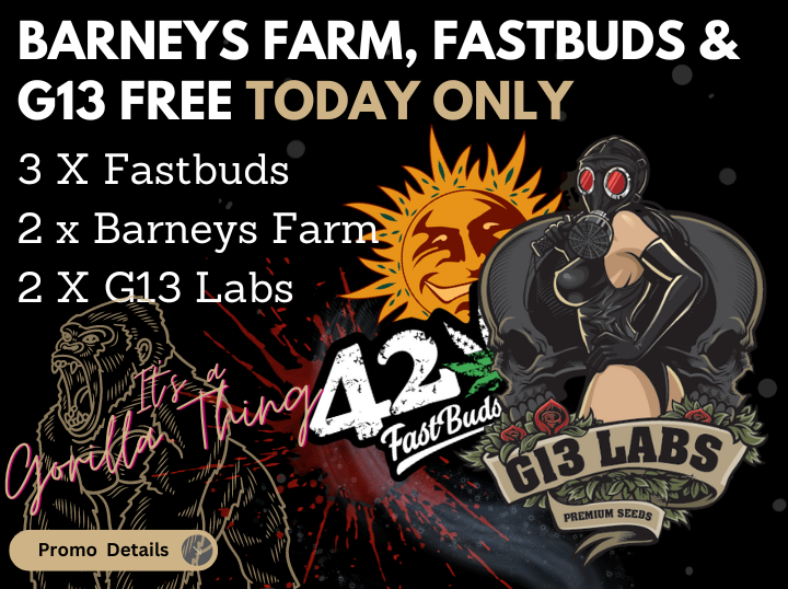 gorillaseeds's tweet photo. Free Barneys Farm, Fastbuds &amp; G13 Cannabis Seeds
https://t.co/Sp798WqwC3 https://t.co/Mdbvs61dHG