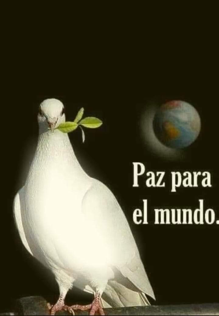 #PazParaElMundo 🕊️🙏🙌♥️
#PeaceForTheWorld 
#Paz
