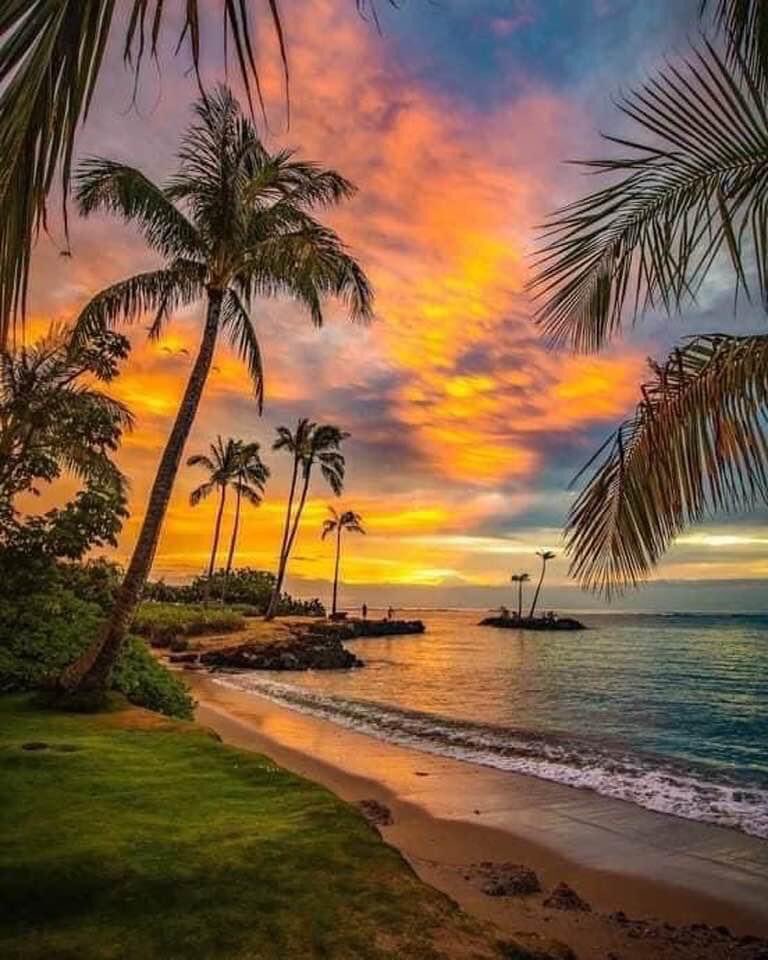 Evening, Friends…🌞
Happy Saturday Evening, Hope 
you all had a good Day…
Time to Relax & Chill…🥃
Sweet Dreams…😴
Peace, Love & Light…🌟

…☕️🍃💦🌴🙏🧡🙏🌴💦🍃☕️…

#FaithHopeLove
#GratefulThankfulBlessed
#SpreadLoveAndKindness
#Kindness
#PeaceLoveLight